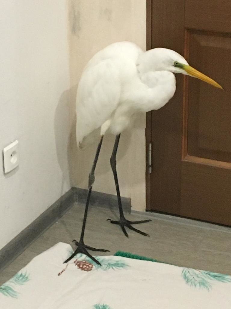    Фото: предоставлено Сергеем Лобановым.