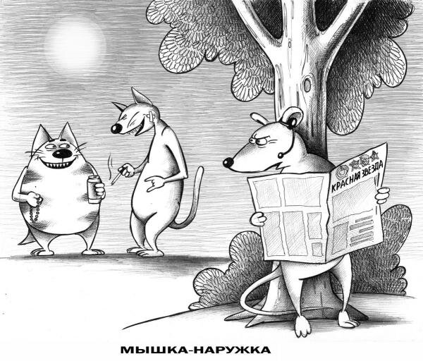Источник vk.com/kor_sun