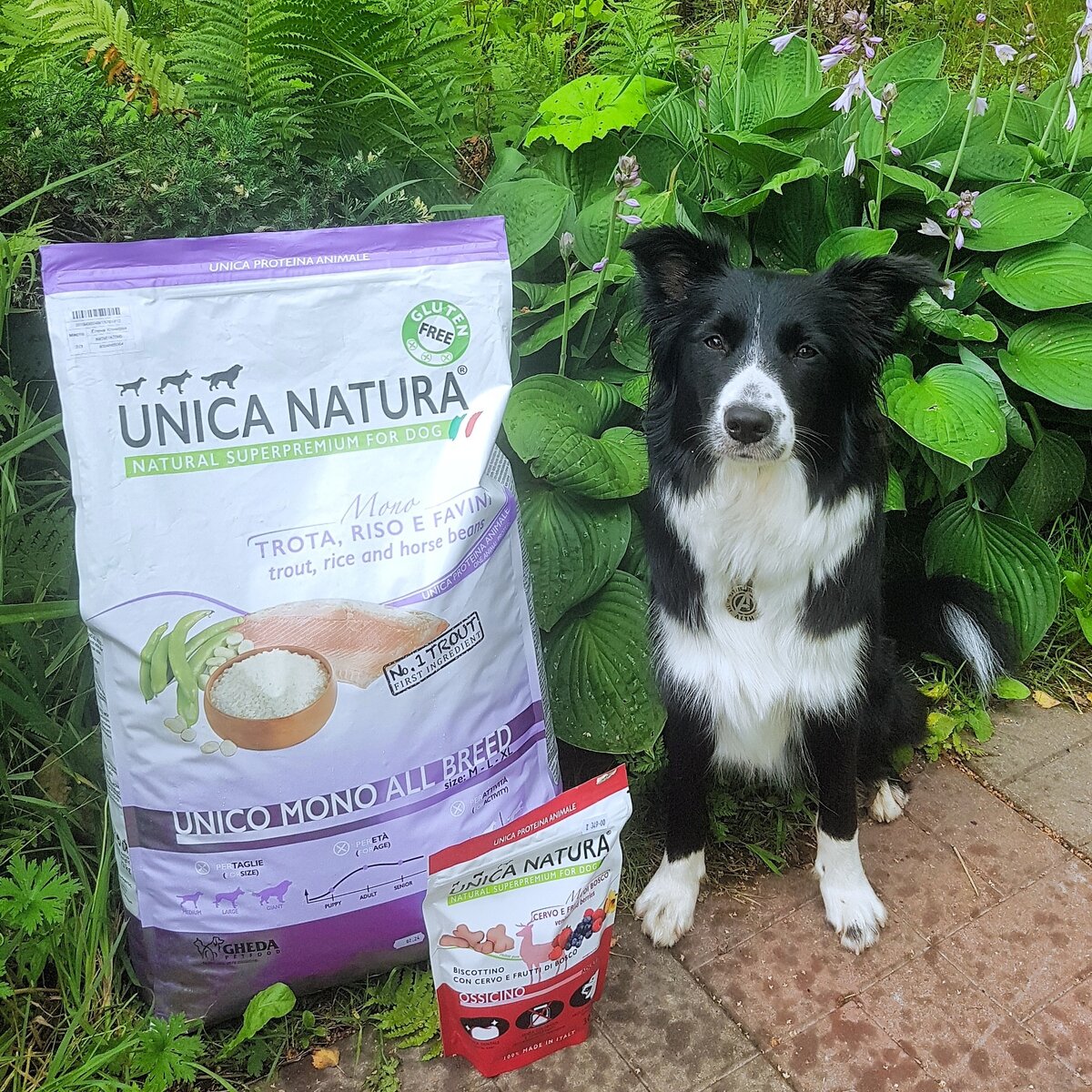 Unica natura корм для собак мелких пород. корм unica natura sensitive. Unica natura для собак. Unica корм для собак. Unica natura mono корм.