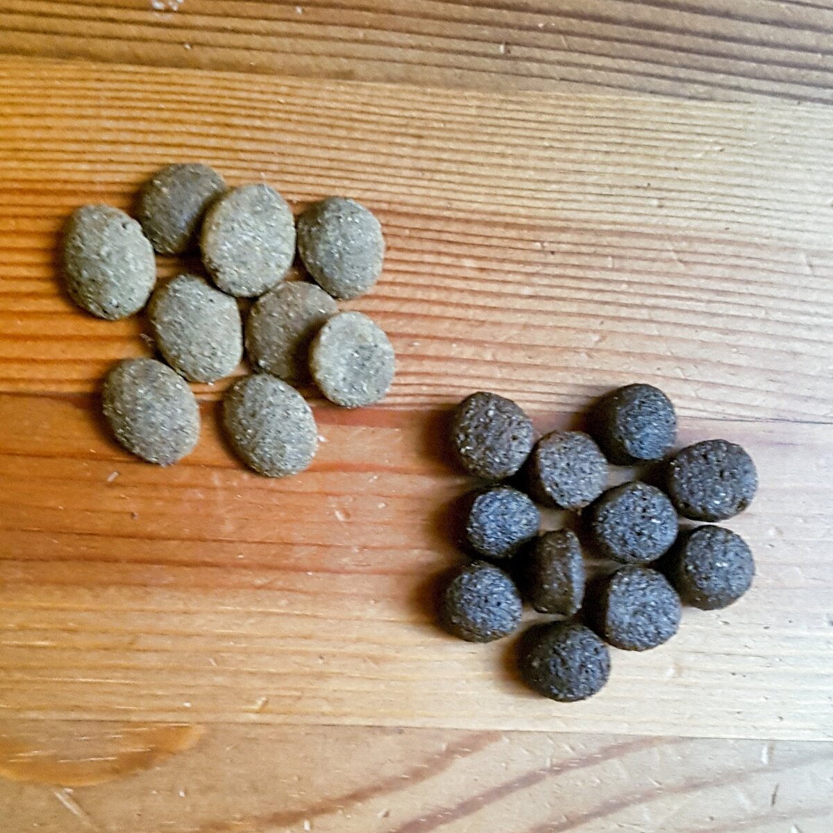 Монж курица и Уника Натура Форель