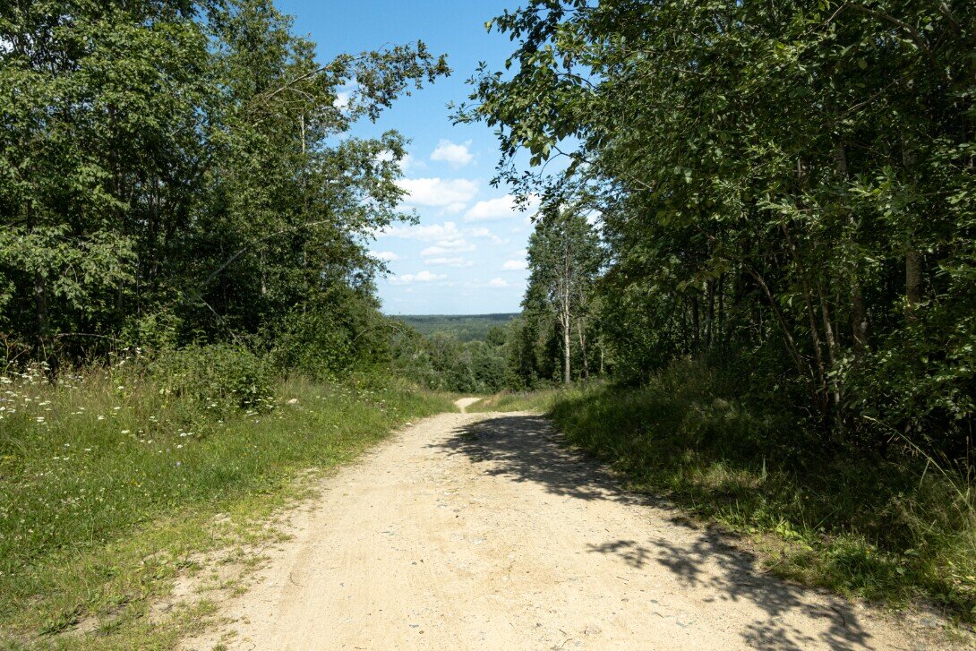 Среди лесной. Того деревни