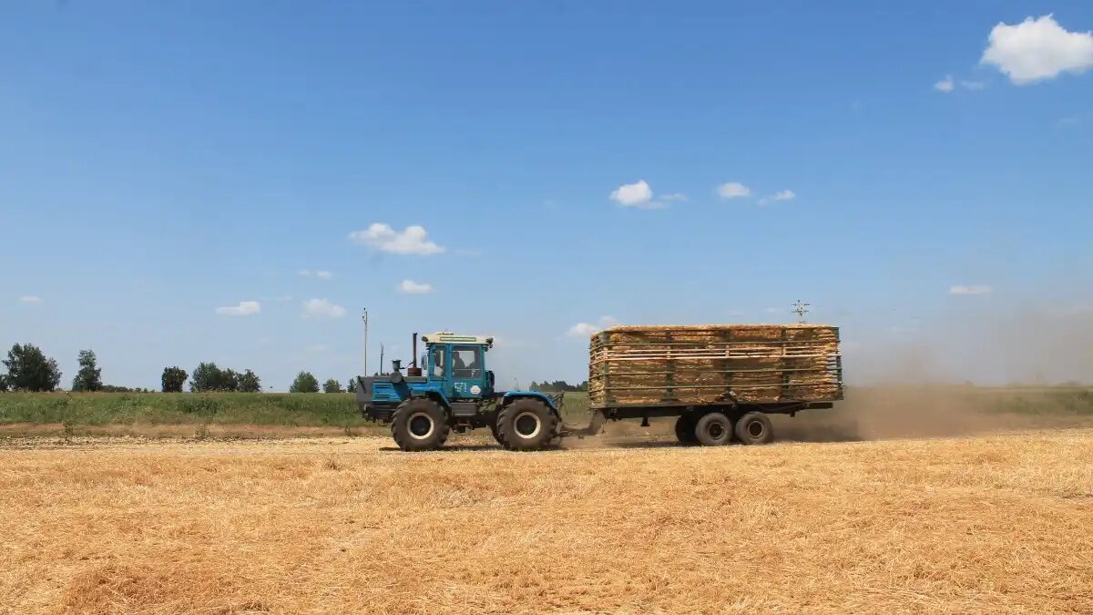 Фото: glavpahar.ru Минсельхоз России рассказал про улучшение ситуации с ГСМ для аграриев (фотография носит иллюстративный характер)