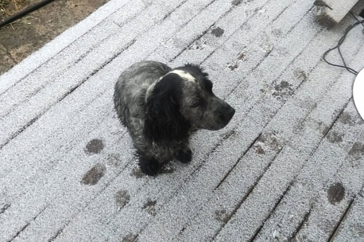    В Ростове 12 октября будет солнечно и без осадков