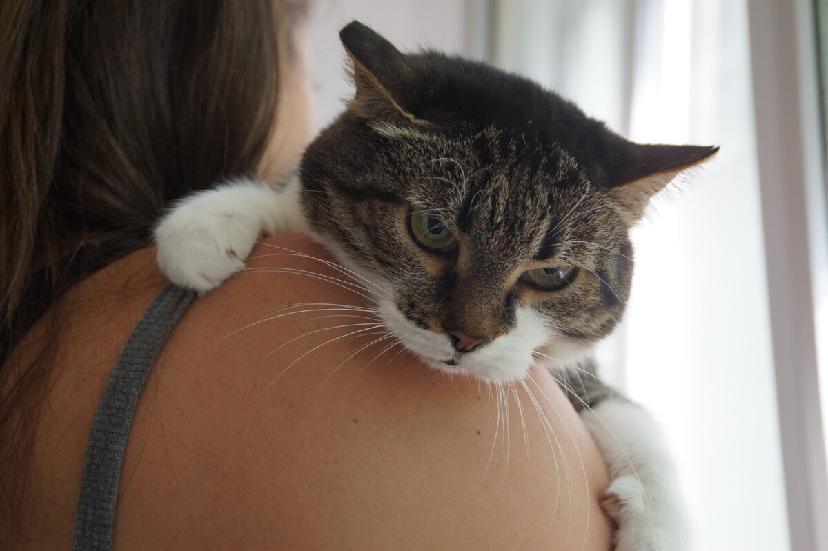 По выражению литса должно быть понятно, о ком речь