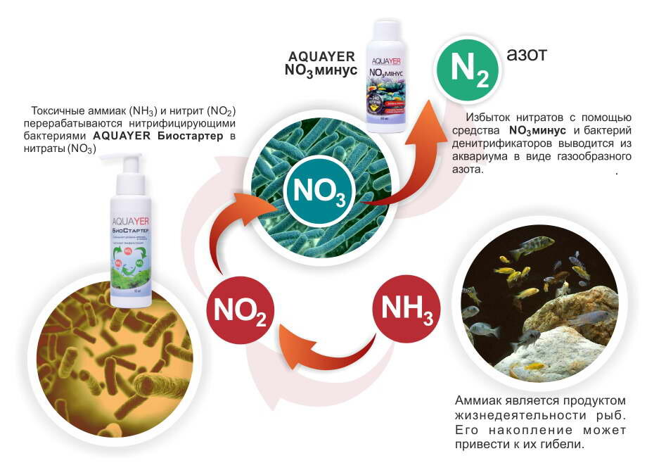 Нитраты в аквариуме – норма, как понизить и повысить? Ищите здесь!