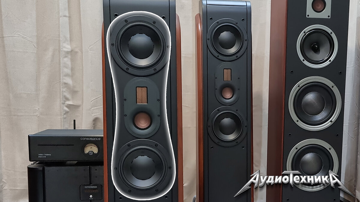 Конструкции расположения динамиков D'Appolito в напольной акустической системе Swan D3.2MKIII.