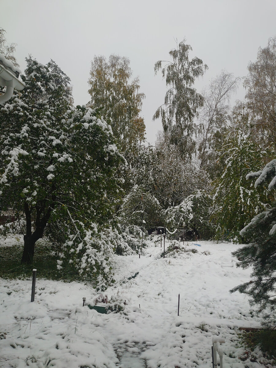 Снег в начале октября 
