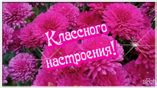 Классного желаю настроения!