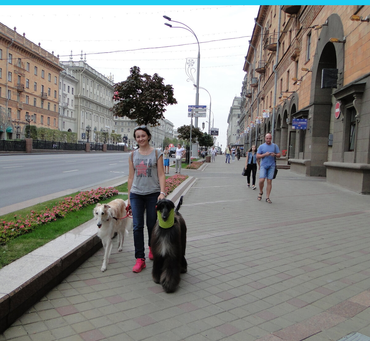 Путешествие с собаками из Москвы в Осло и обратно. Проходим таможню,  арендуем кемпер, начинаем путешествие. | Большие собаки в городе | Дзен