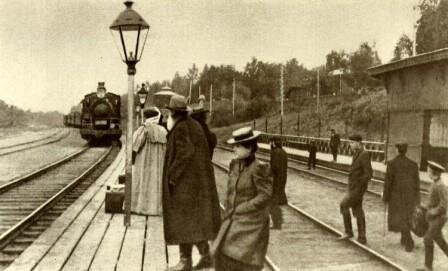 Фото из интернета.