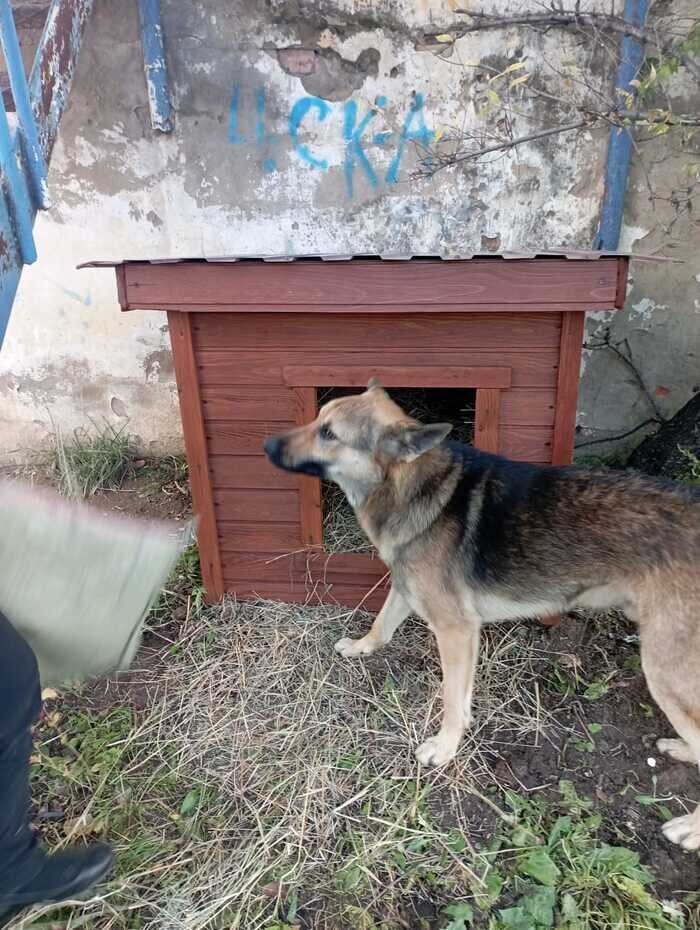 Листайте вправо, чтобы увидеть больше изображений
