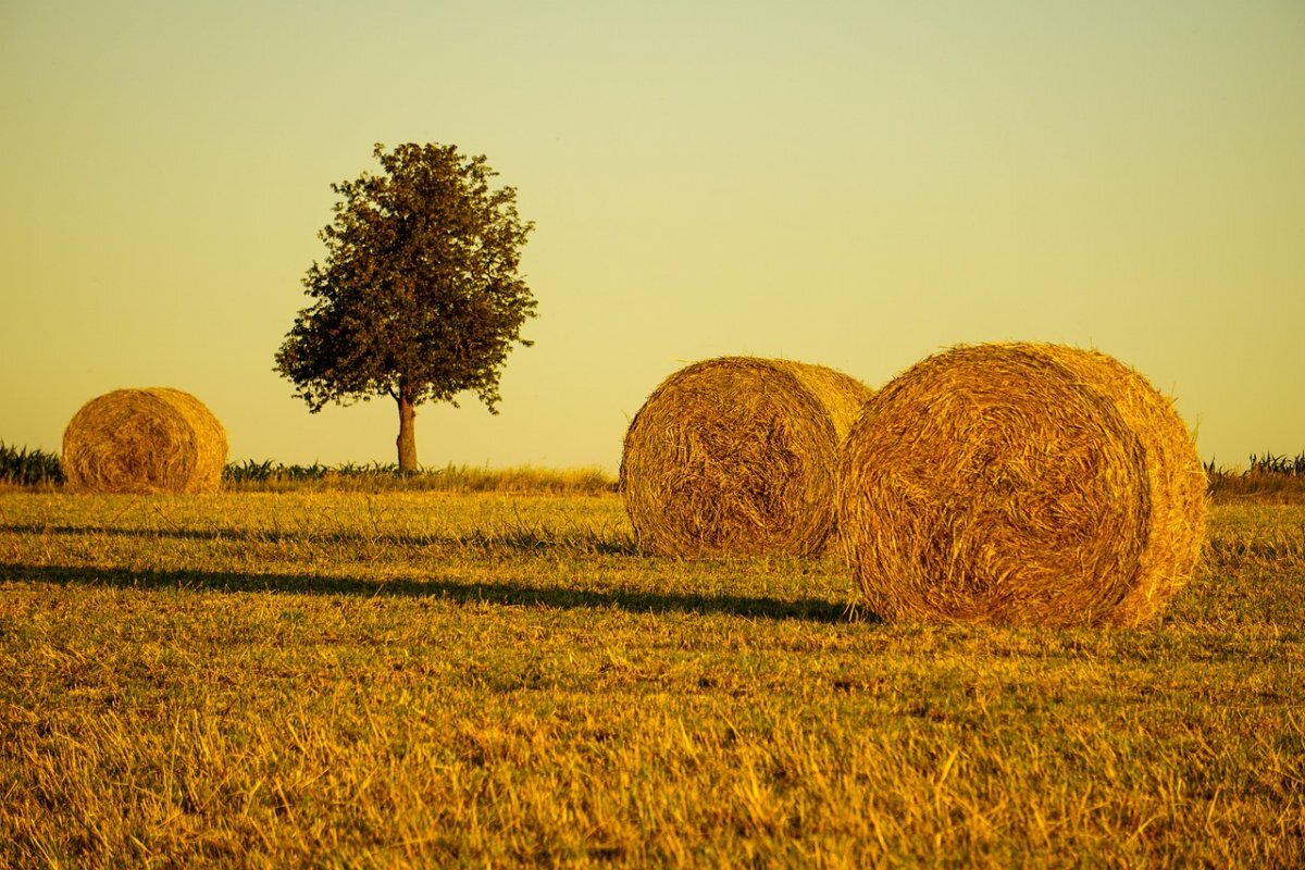 Источник  :  Яндекс  картинки.