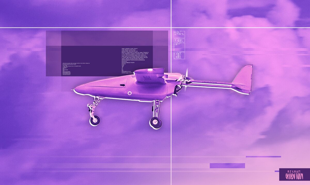    Украинский БПЛА Иван Шилов (с) ИА Регнум