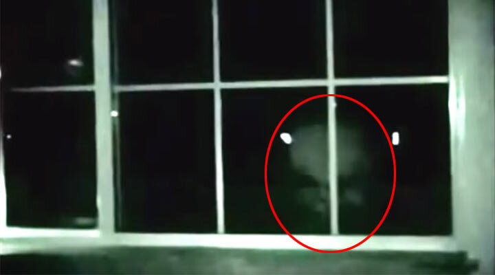 Автор : Alex Vell