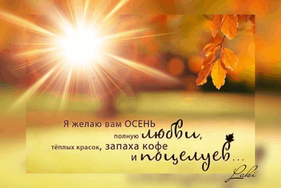Долгий день теплый день. Я желаю вам теплой осени. Желаю вам осень полную любви. Осенняя мудрость. Осень мудрость.