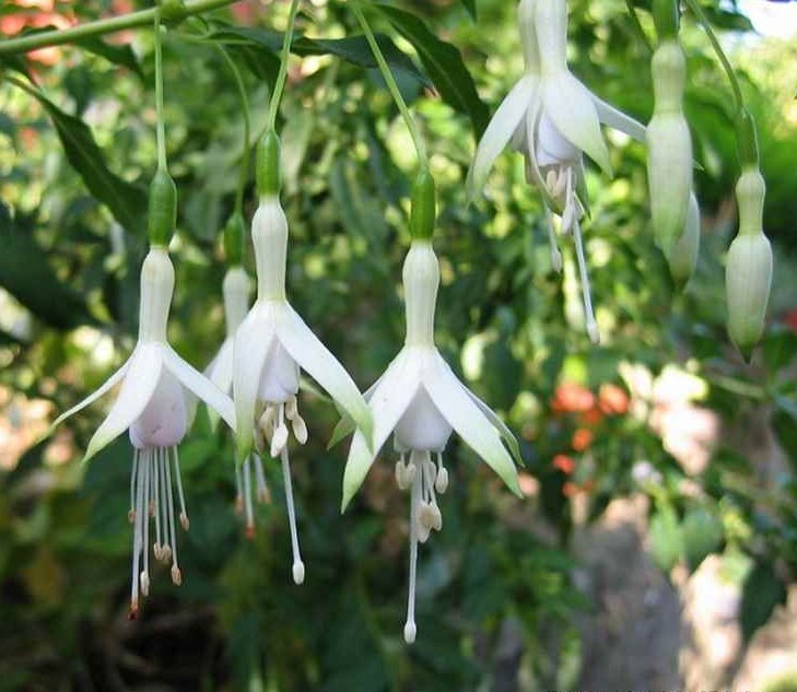 Фото John Nicholass