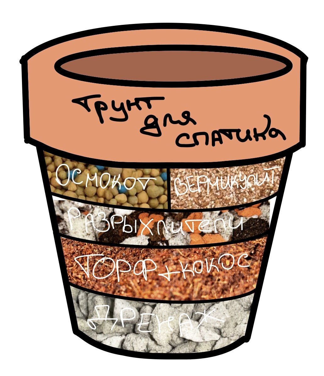 грунт для спатифиллума