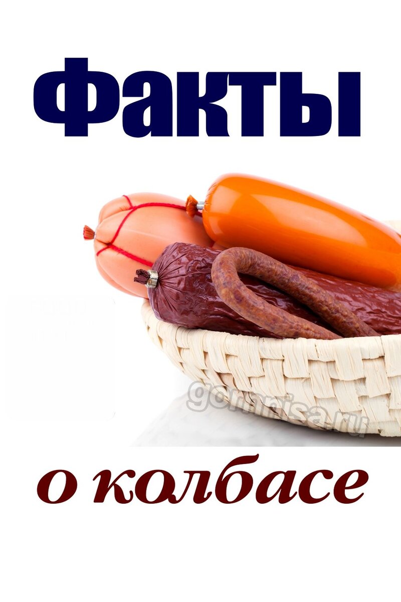    Факты о колбасе Pavlov A