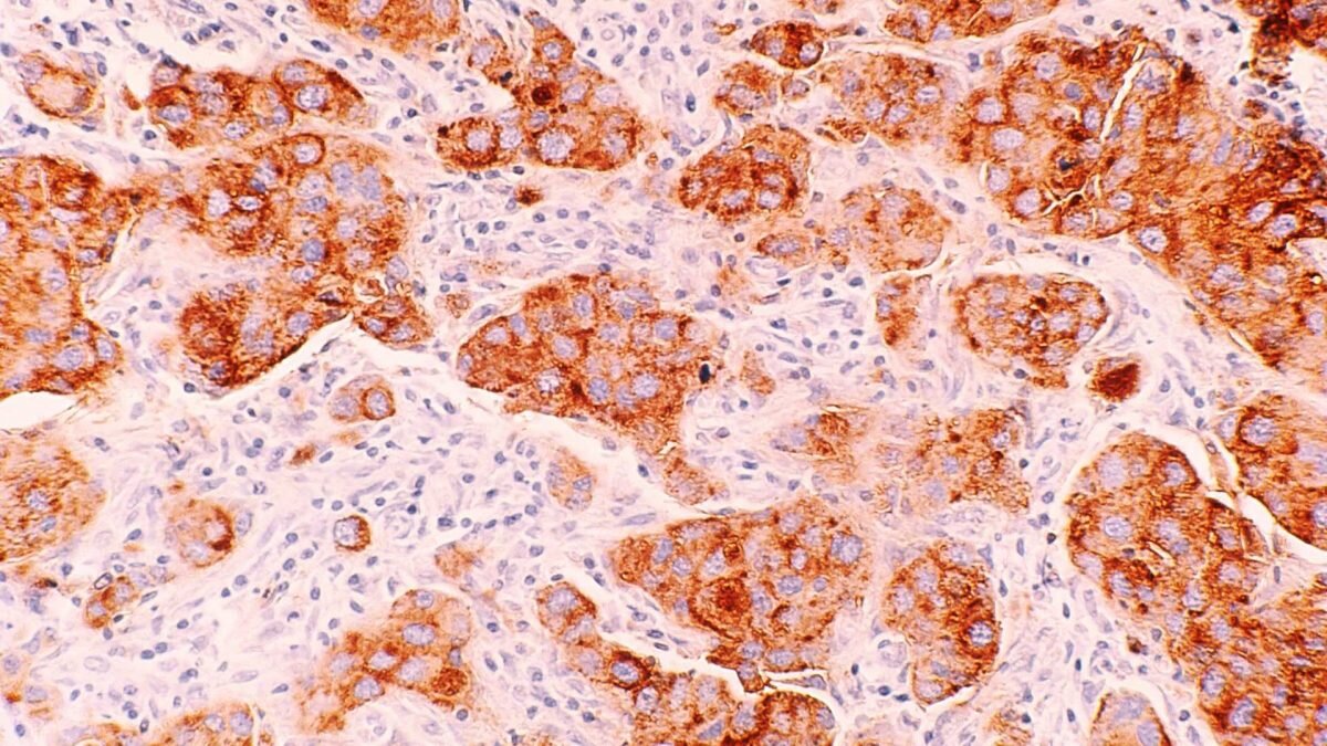    Фото: Unsplash Август Макаров