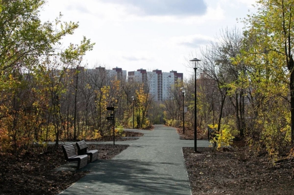    Парк «Березка» в Оренбурге соединят со спорткластером на Транспортной.