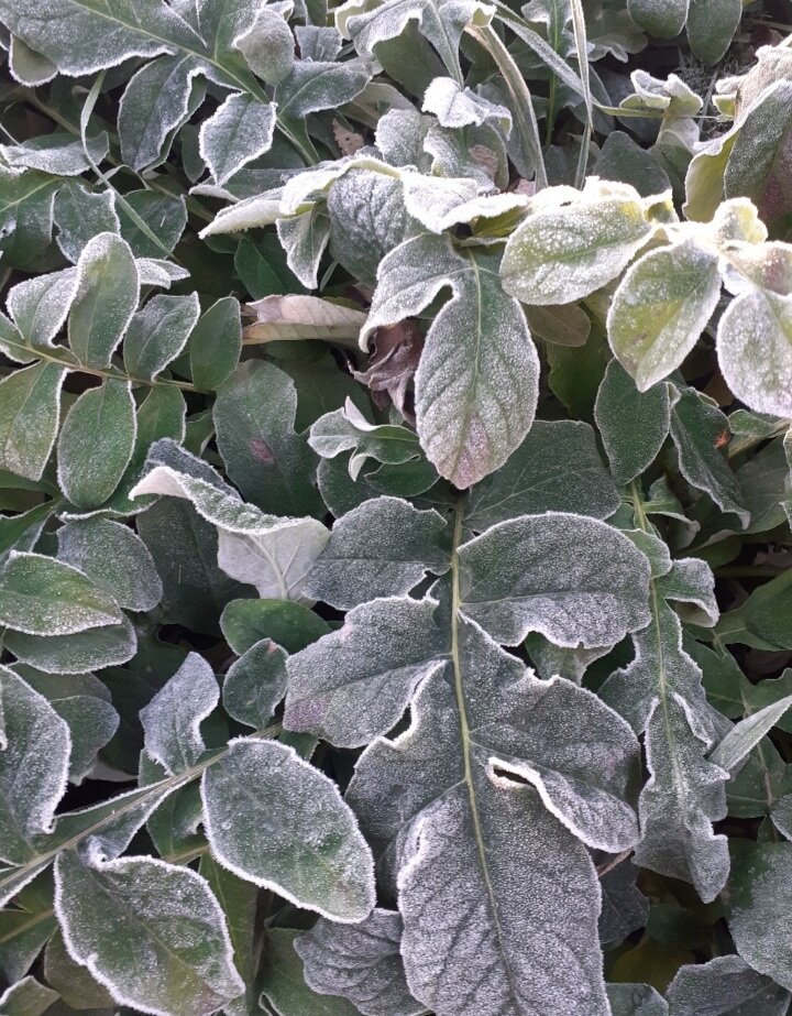 Похолодало...