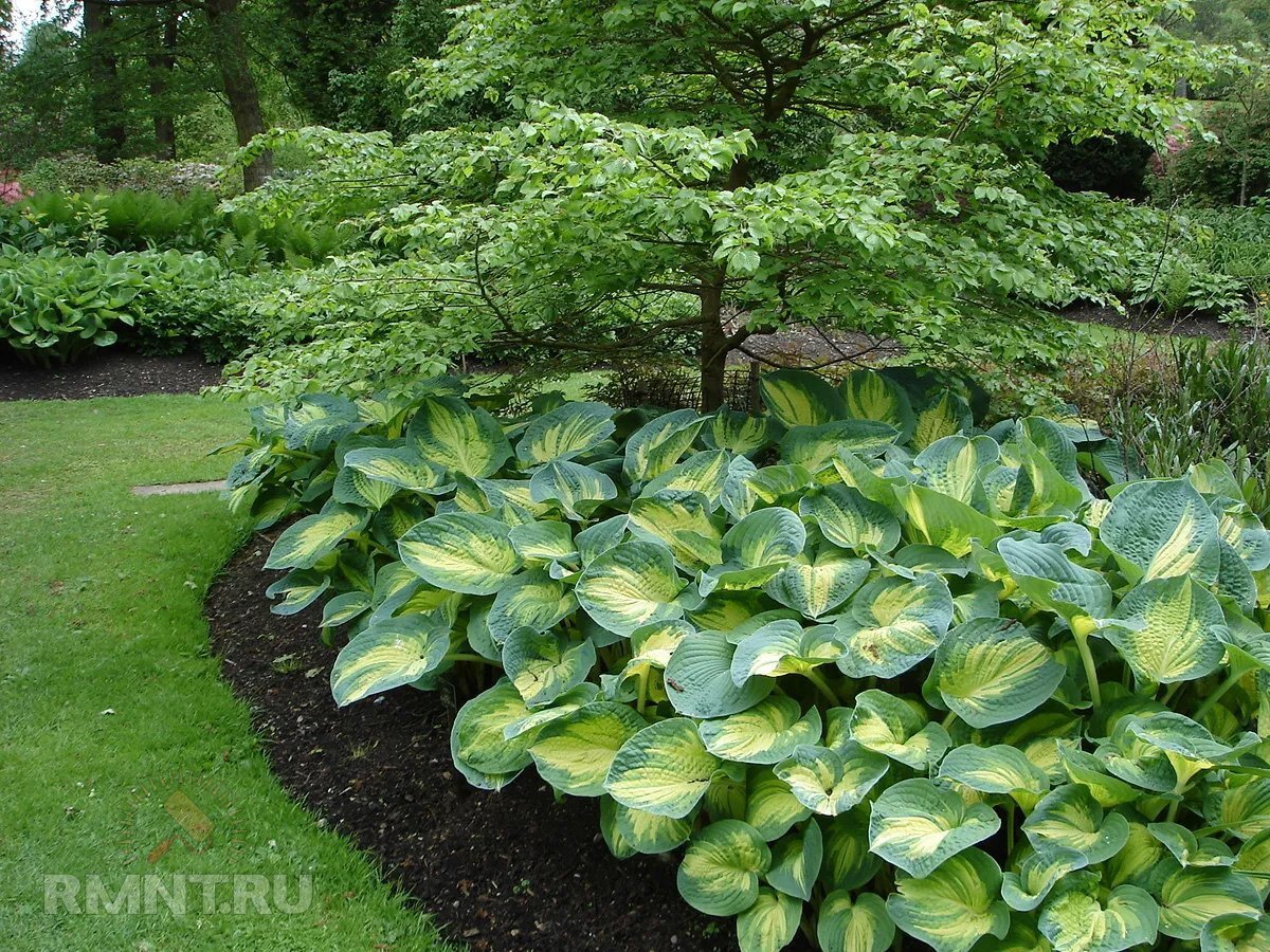   Фото news.rambler.ru