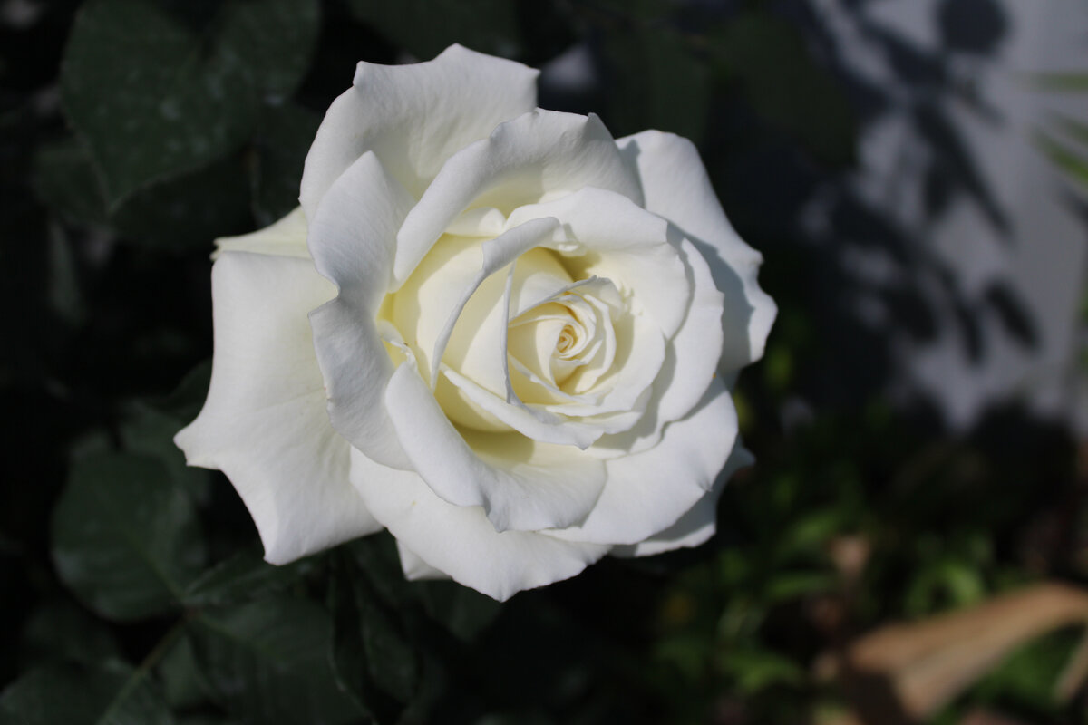 фото автора 2023 г.