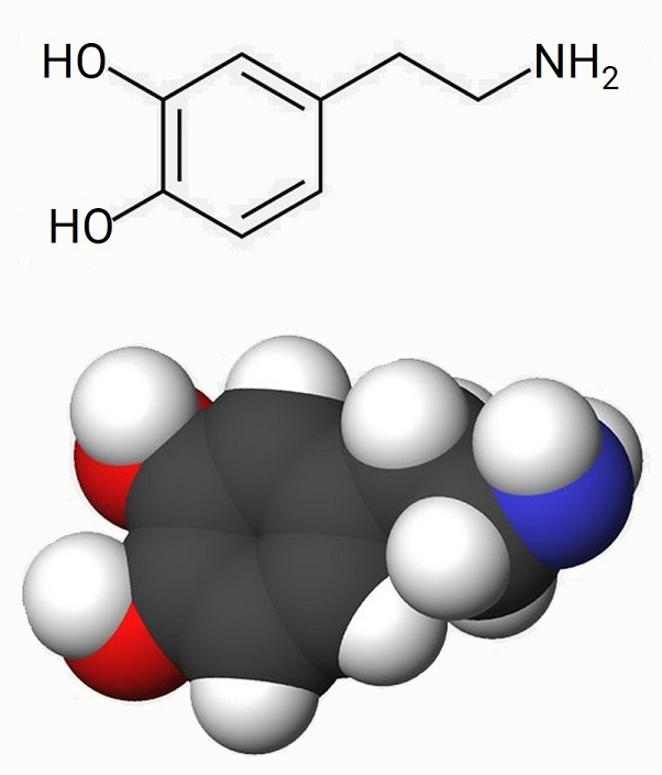 Дофамин формула картинка