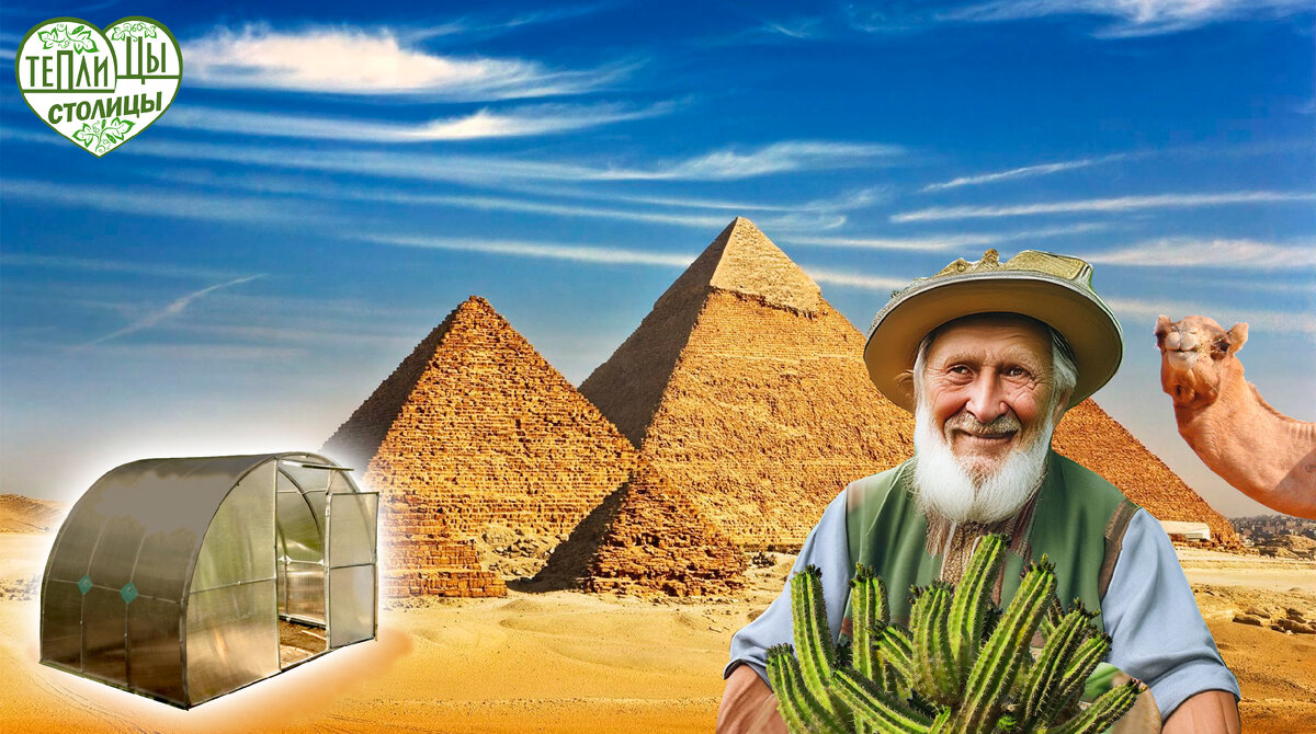 История теплиц от Теплицы Столицы
