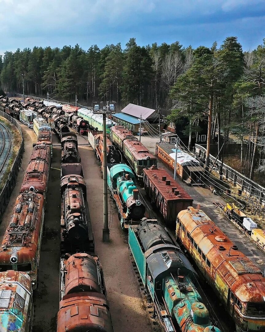 Фото: Фондовая площадка "Пионерский парк" ЦМЖТ России