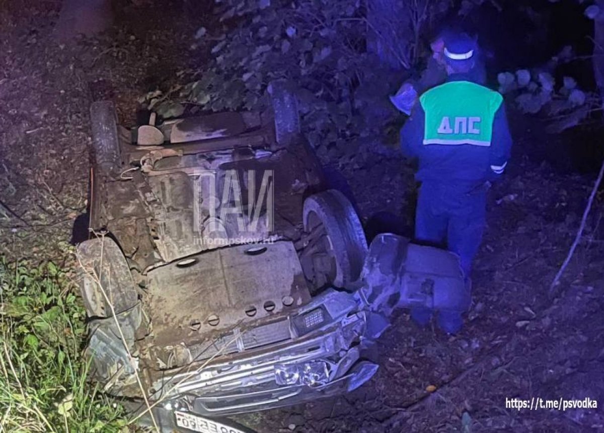    В Псковском районе автомобиль протаранил мачту освещения и вылетел в кювет