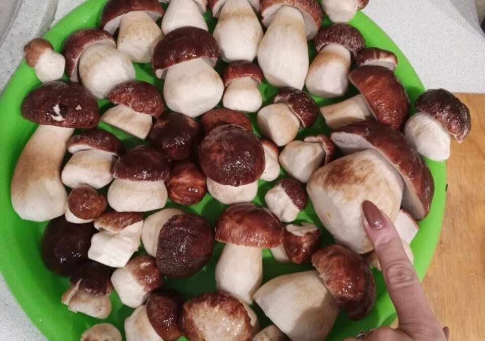 ИА SM-News Тюмень📷
