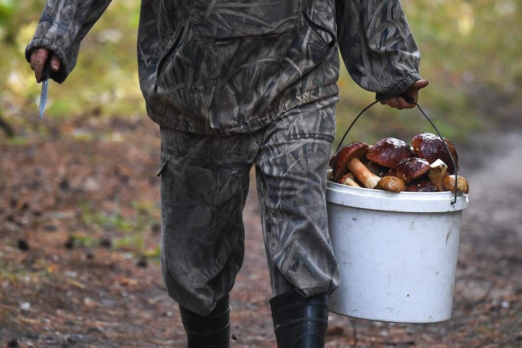 Фото: РИА Новости/Александр Кряжев