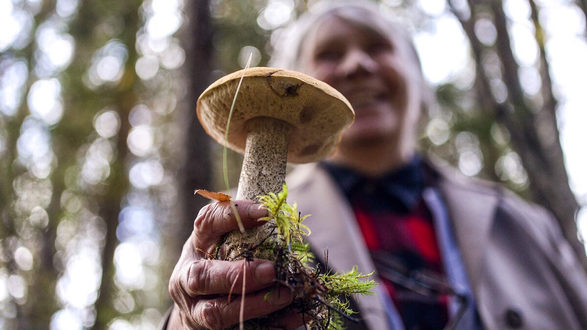 Фото: РИА Новости/Константин Чалабов