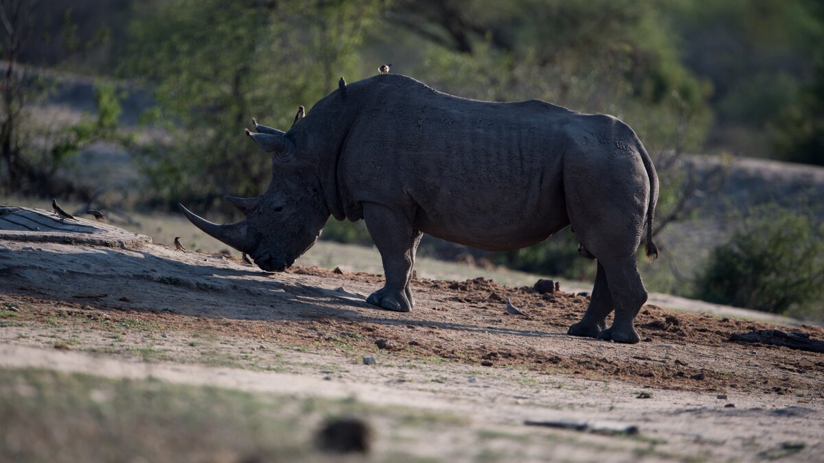 Фото: FREEPIK.COM.