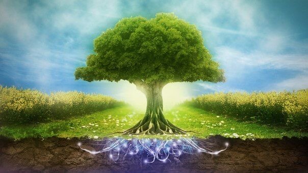 Источник: Pinterest 