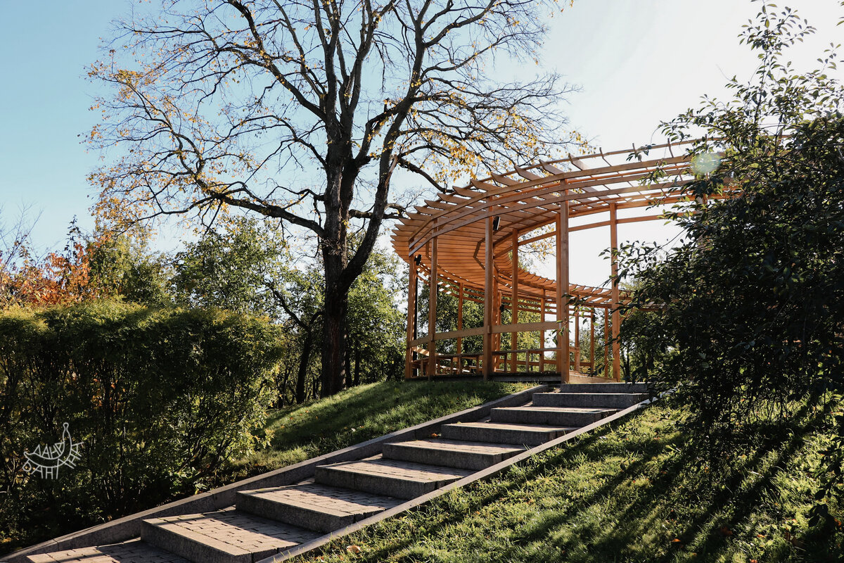 Очень оживляет кадр резкий контраст протяжённых теней