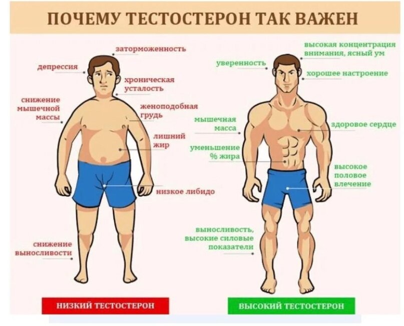 Создать карусельДобавьте описание