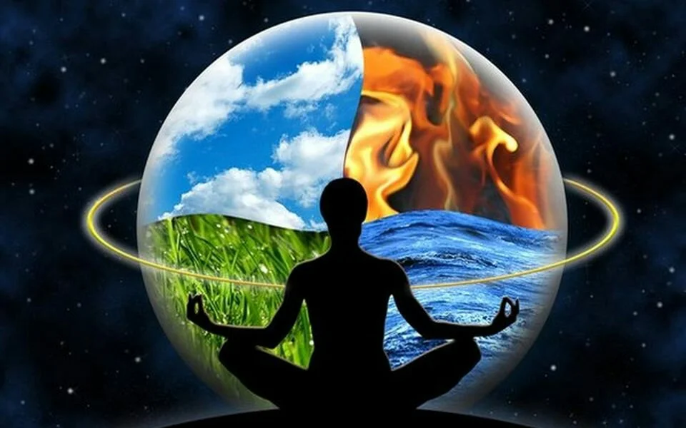 Мир природы — гармония. Взято из интернета