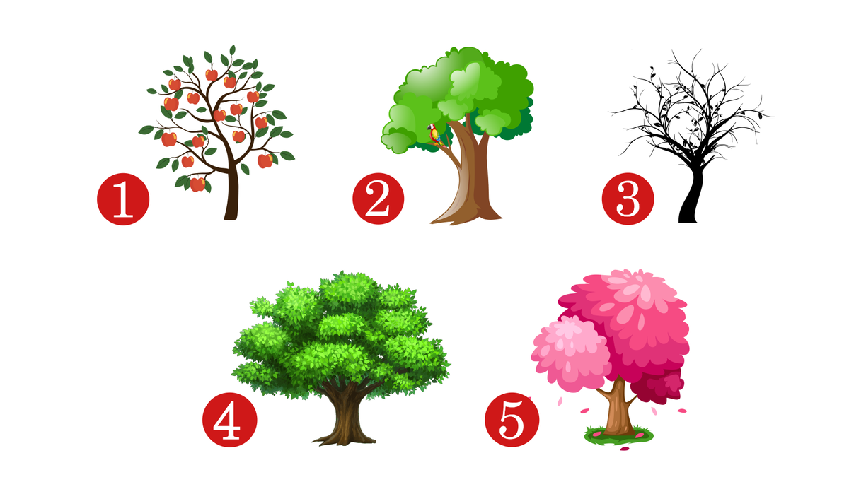 детский тест личности. психологический тест на личность человека. психологический тест на самооценку личности. психологические тесты. тесты по психологии личности.