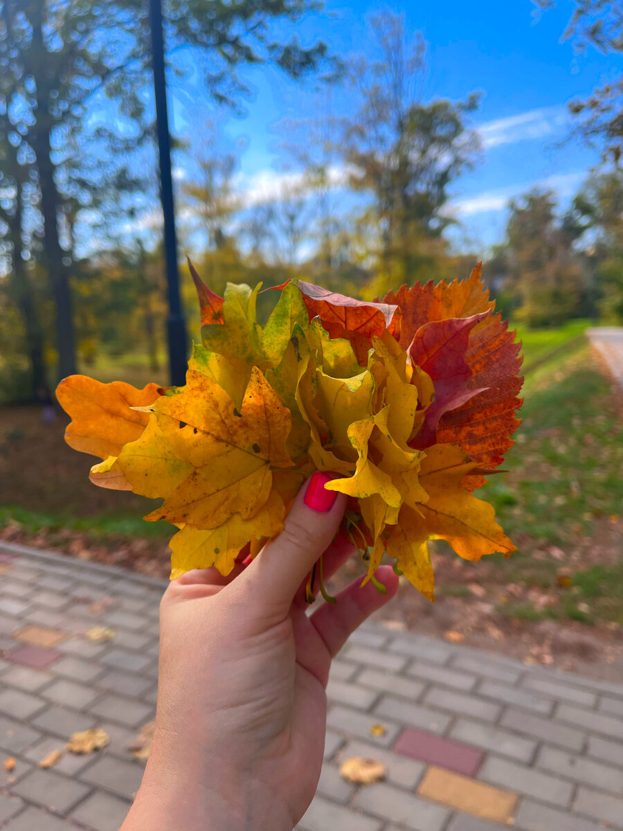 12.10.2023 ПРОГНОЗ ДНЯ 