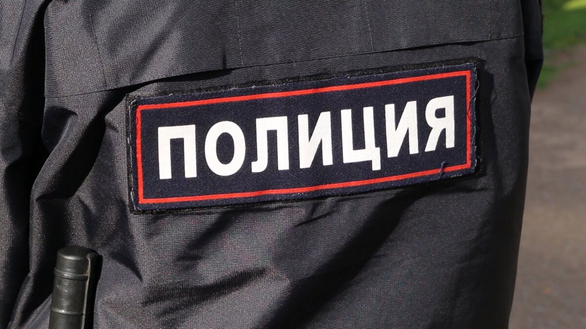    В МВД рассказали подробности нападения 9-летнего школьника с топором на полицейского