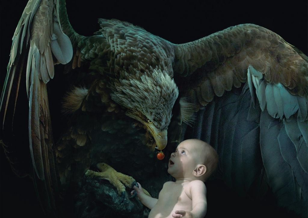 Муж принес ребенка. Орел унес ребенка. Орел для детей. Ребенок с олом. Птица прикрывает крылом.
