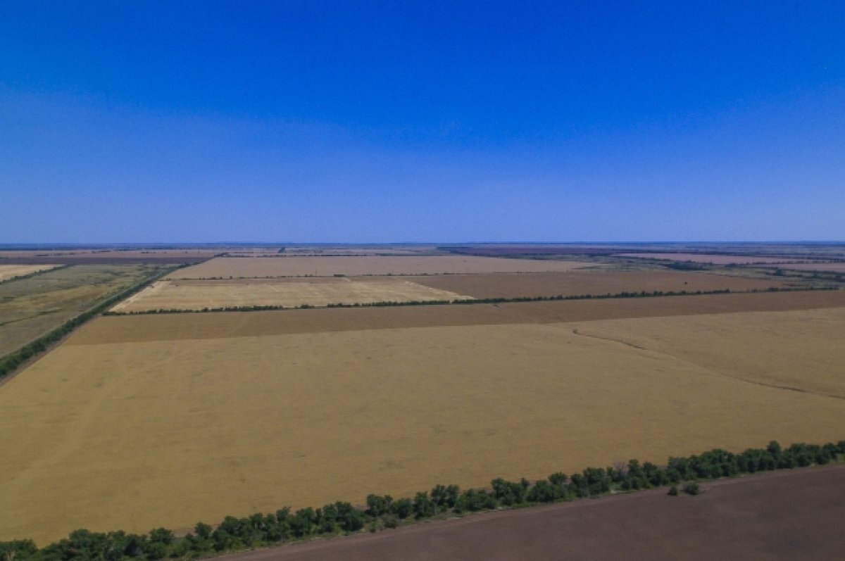    В Новосибирске три предприятия выставили на продажу за 4,8 млрд рублей