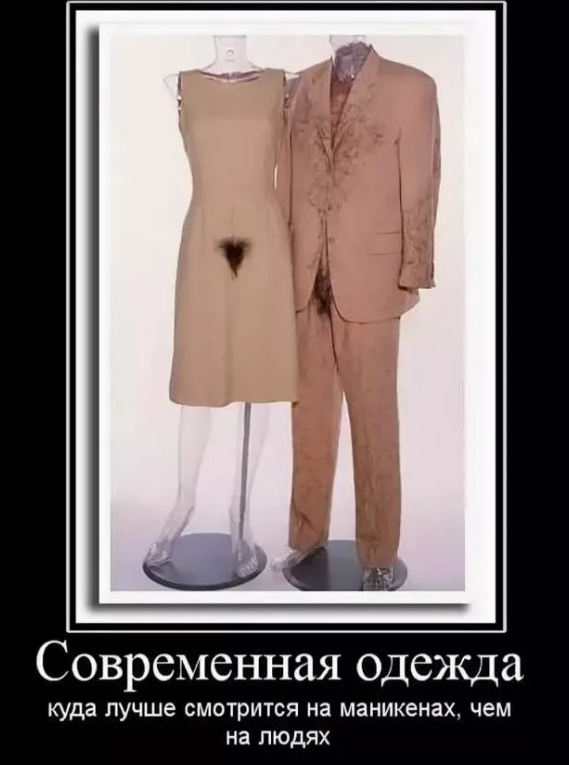 Вещи говорят о людях. Шутки про одежду. Смешные цитаты про моду. Мода смешно. Шутки про моду.