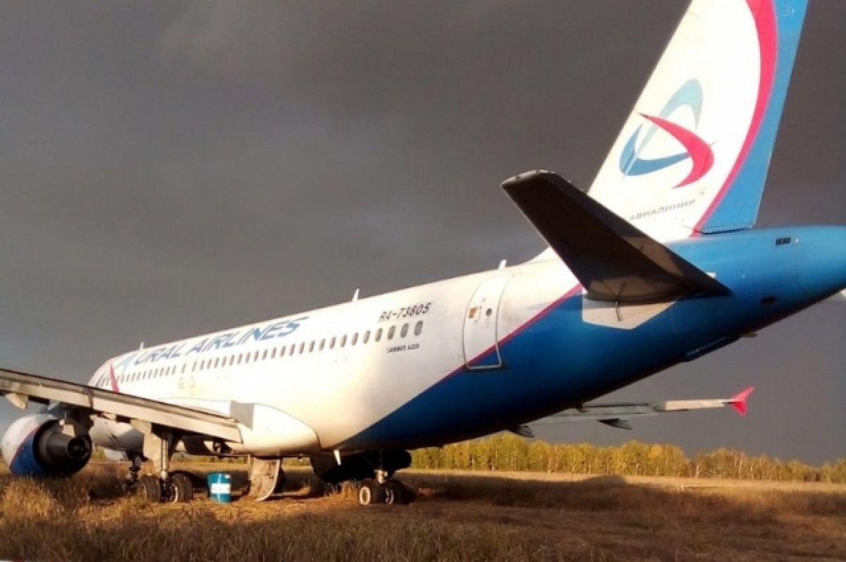 Самолёт из Сочи в Омск. Омск-Сочи авиабилеты.