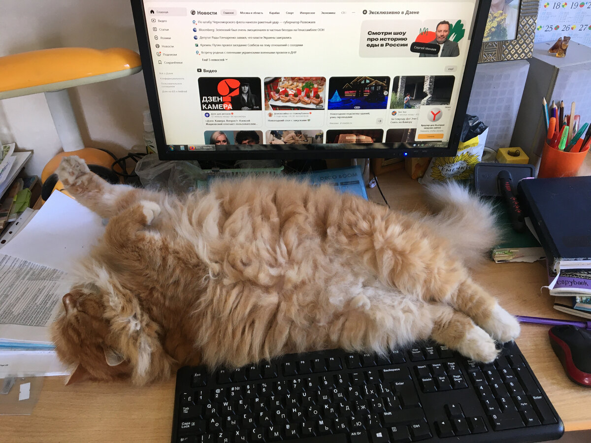 Фото автора