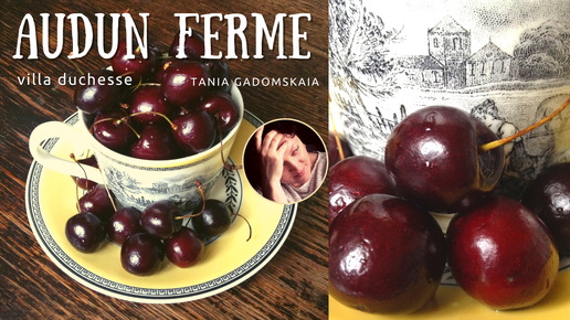 Tania Dsukarva | Дзен