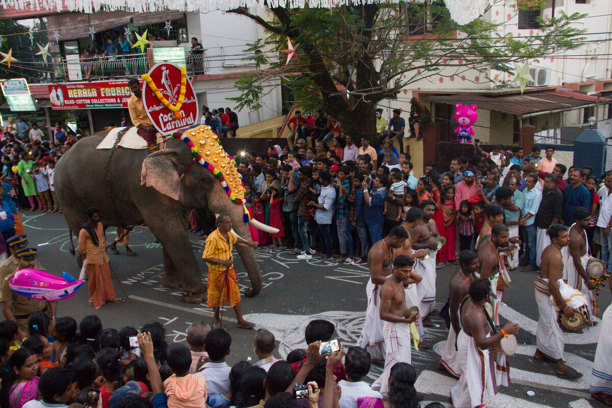 Сначала шли слоны