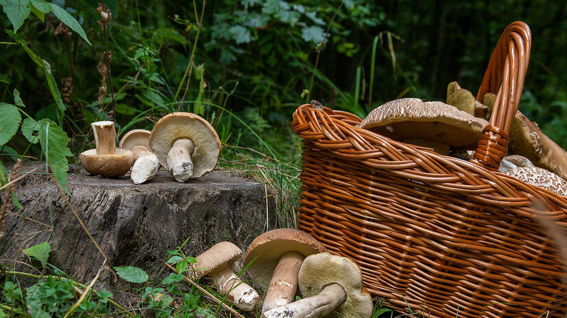   Gettyimages.ru kostik2photo